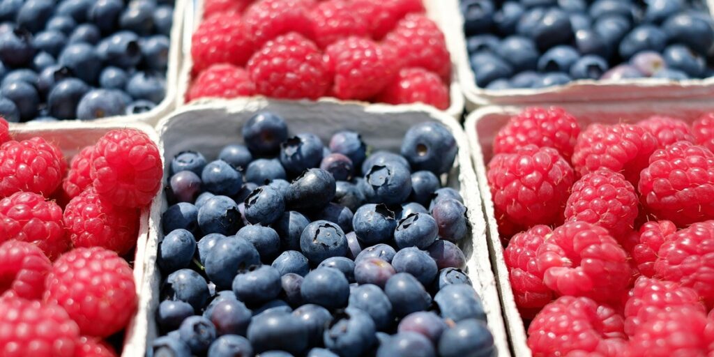 Why Iranian Dried Fruits Are a Global Favorite?