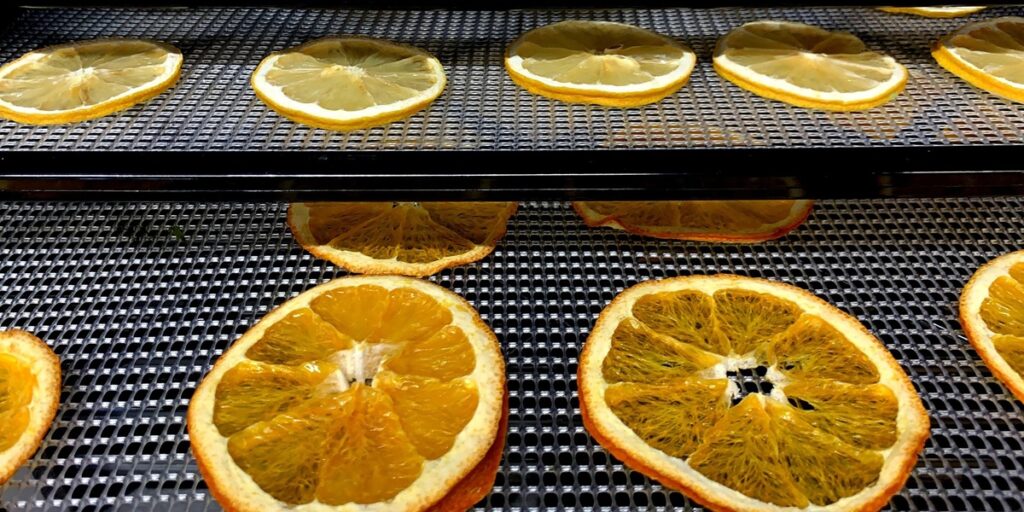 Dried Fruits for Maximum Freshness