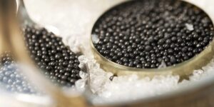Best Caviar for Beginners: A Guide to Getting Started with Luxury