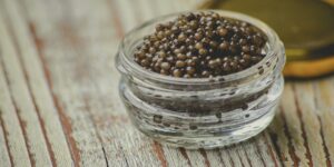 The Most Expensive Caviar: Why It's Worth the Price