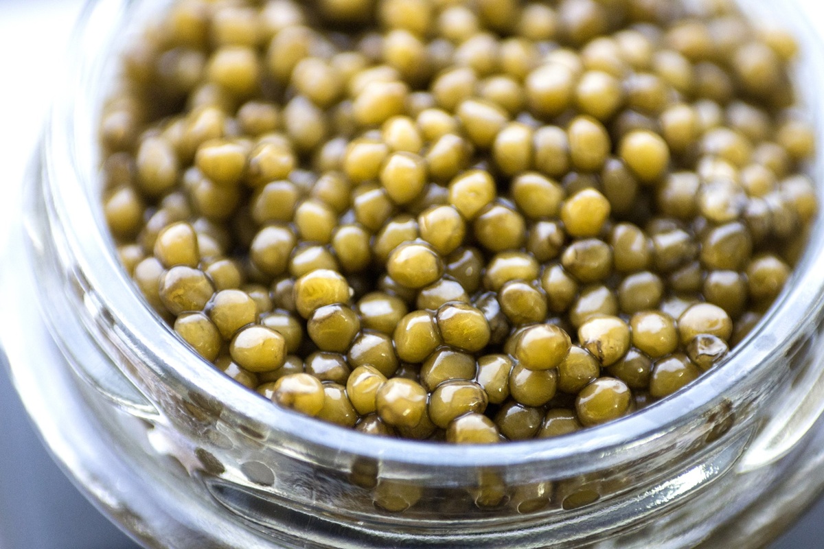 Top 10 Caviar in the World: The Ultimate List for Caviar Lovers