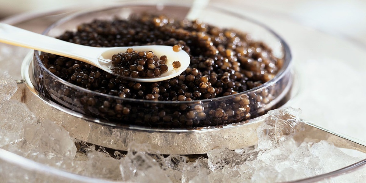 Iranian Beluga Caviar: Why It’s Considered the Best in the World