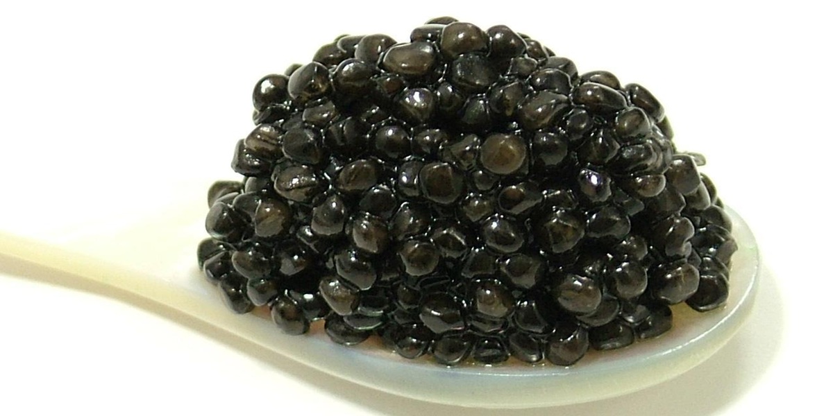 The Rarest Caviar in the World: Exploring the Most Exclusive Caviar Varieties