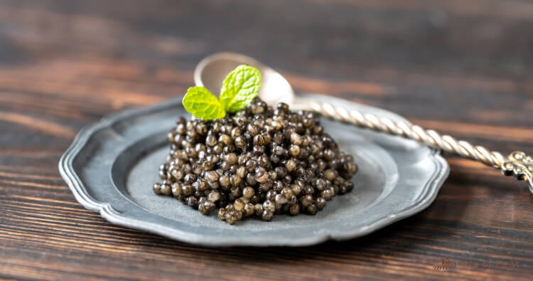 Iranian Beluga Caviar: Why It’s Considered the Best in the World