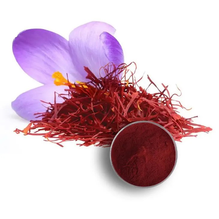Saffron Ground: A Guide to Buying and Using Ground Saffron in Cooking