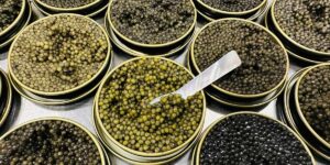 climate change caviar industry