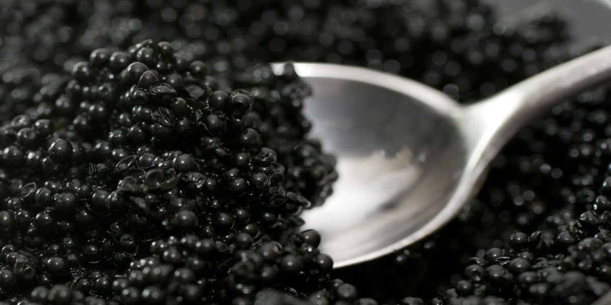 Caviar Traditions