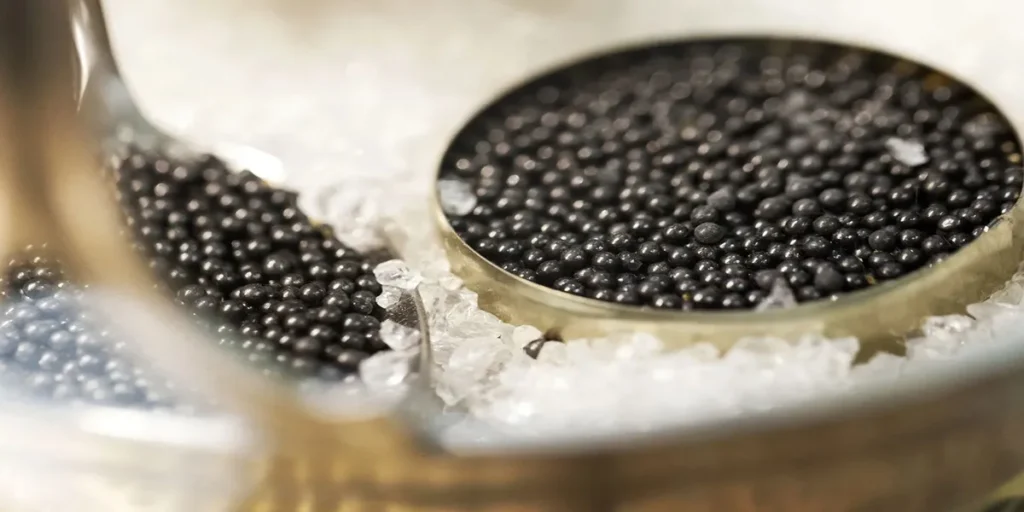 Caspian Sea Caviar vs Other World Caviar – What is the Difference?
