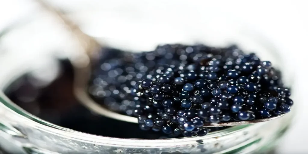 Why is Caviar Perfect as a Gift