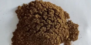 پودر جگر اسکوئید شرق آسیا