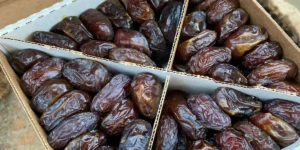 Organic vs Conventional Date Fruits: Markets & Buyer Preferences
