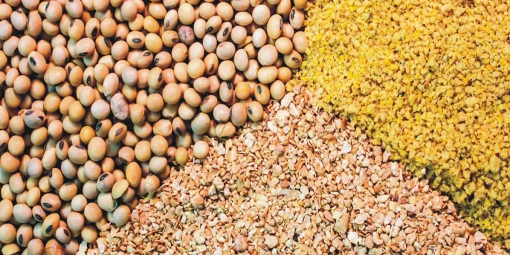واردات تخصصی افزودنی های خوراک دام و آبزی