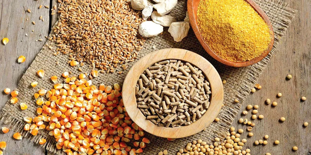 واردات تخصصی افزودنی‌ های خوراک دام و آبزی