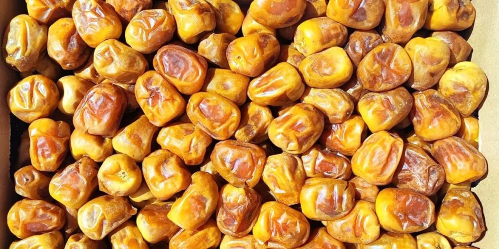 Why Organic Middle Eastern Dates Are Becoming One of the Top 5 Superfoods Worldwide in 2025