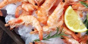 seafood export shrimp