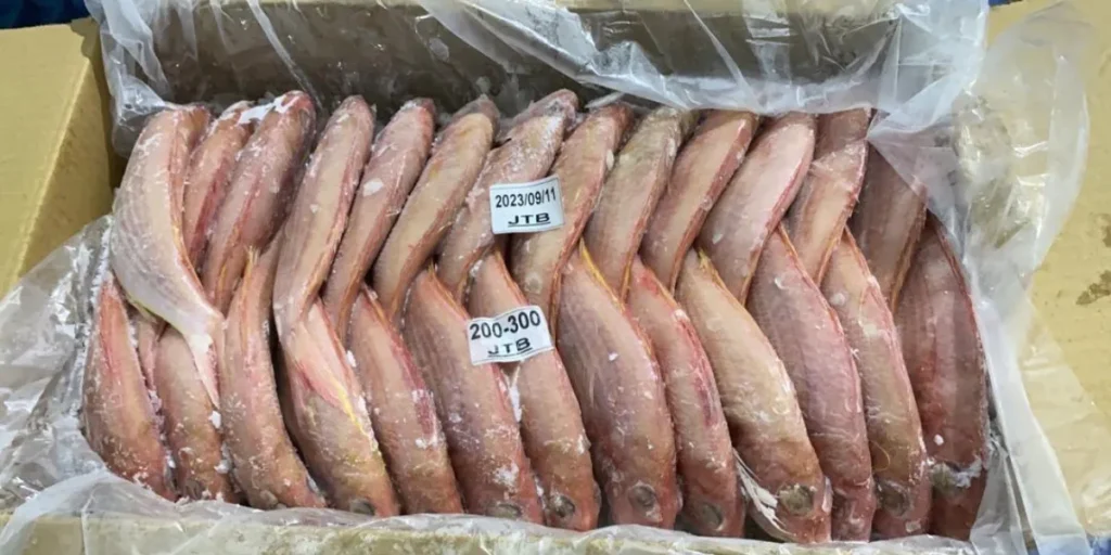 Methods of storing and freezing shrimp for export