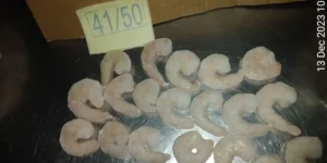 shrimp farming process