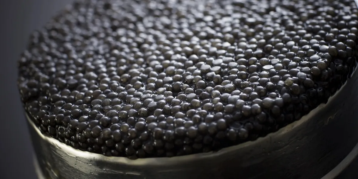 The price of beluga caviar in Iran