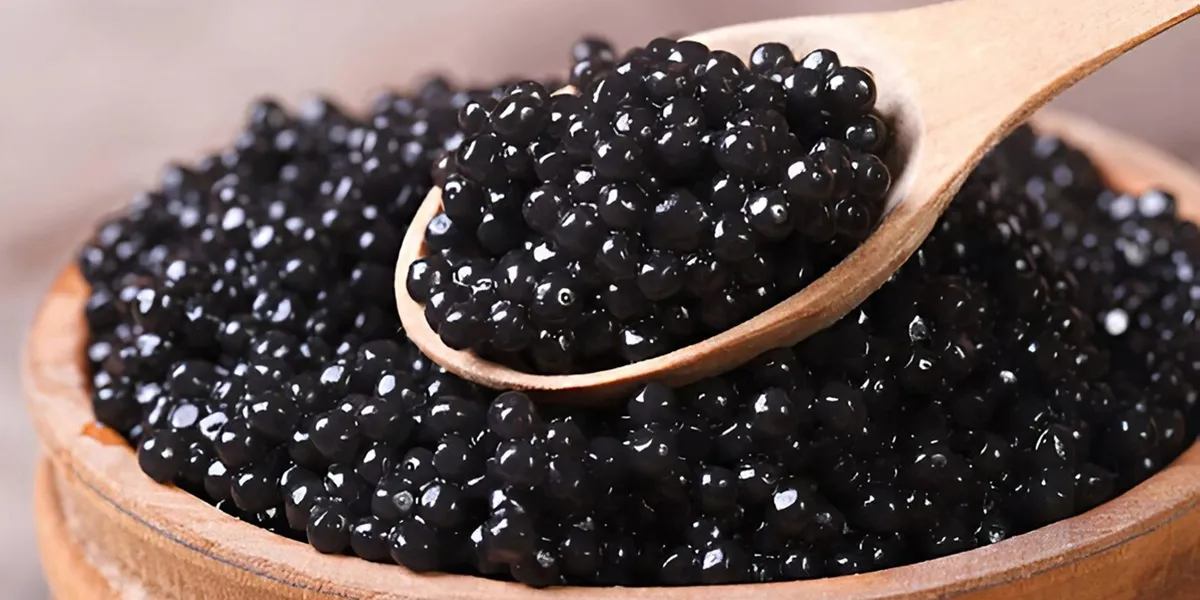 History of farmed caviar in Iran