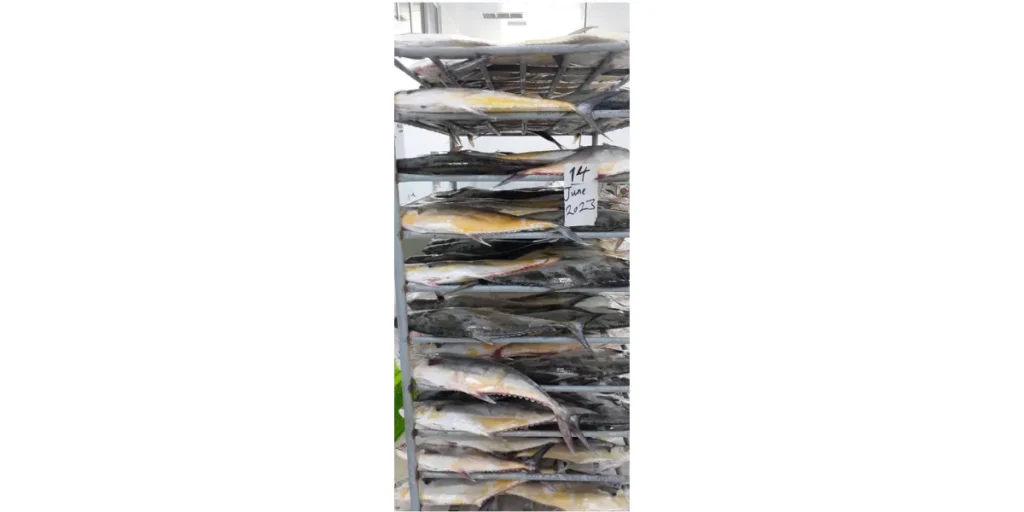 Iranian Carangidae fish