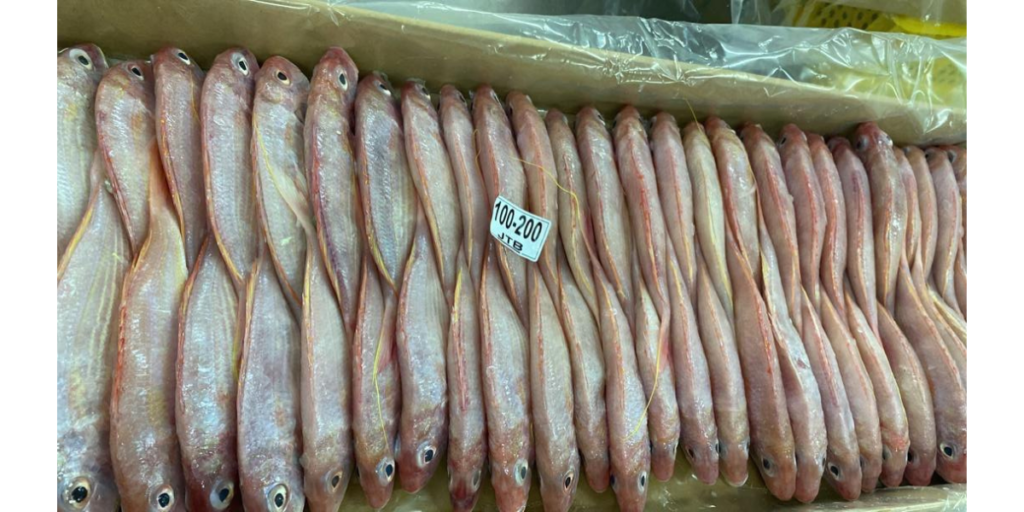 Iran JTB export