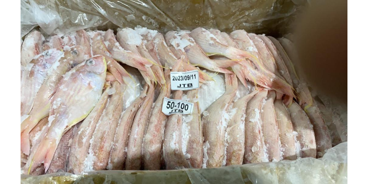 JTB export packaging