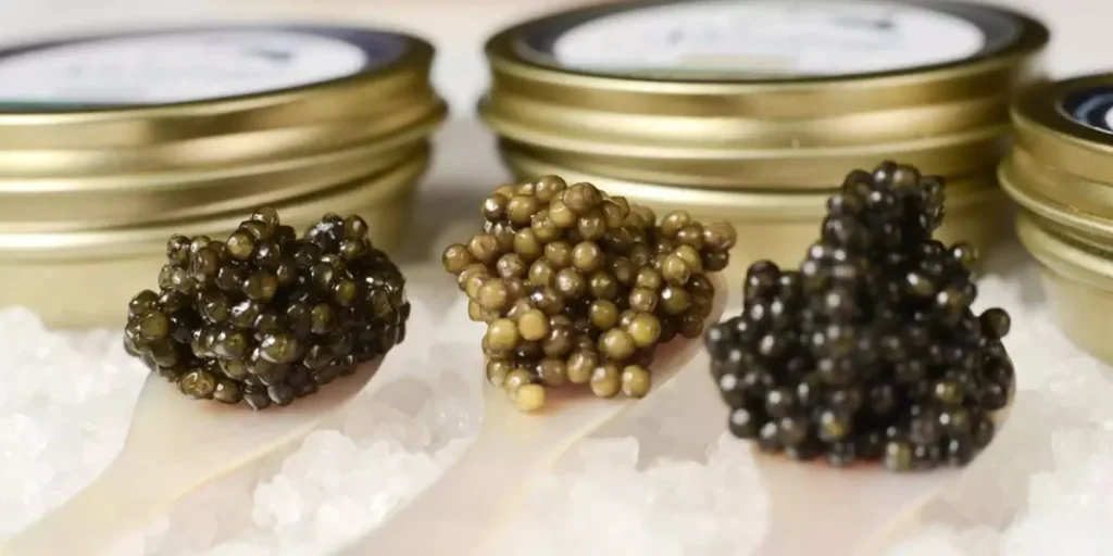caviar price per kilo