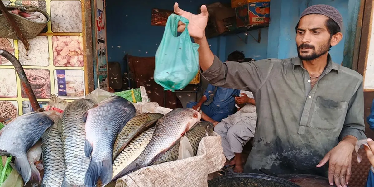 Iranian Seafood Export Regulations