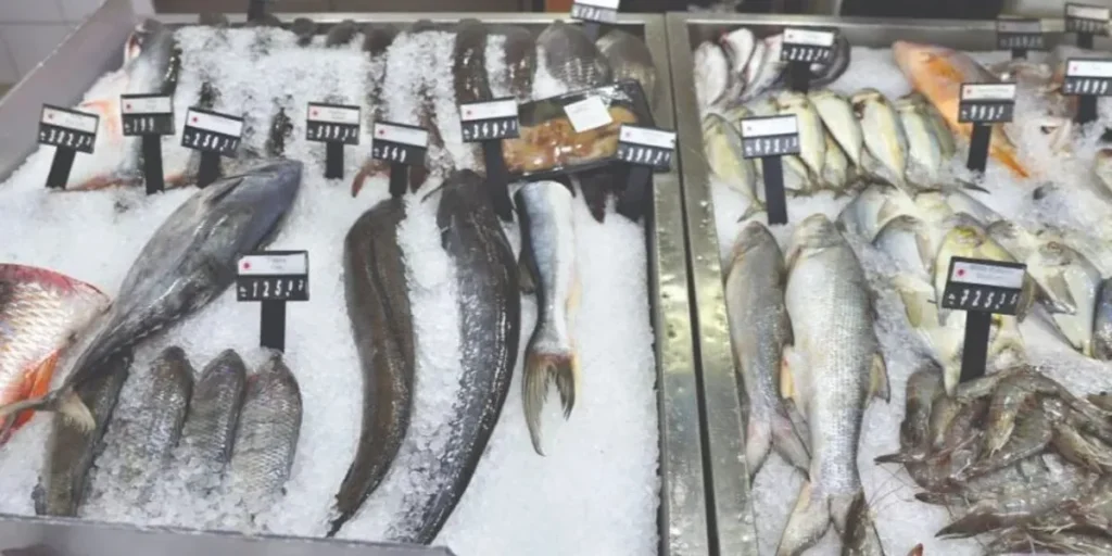 Iranian Seafood Export Regulations