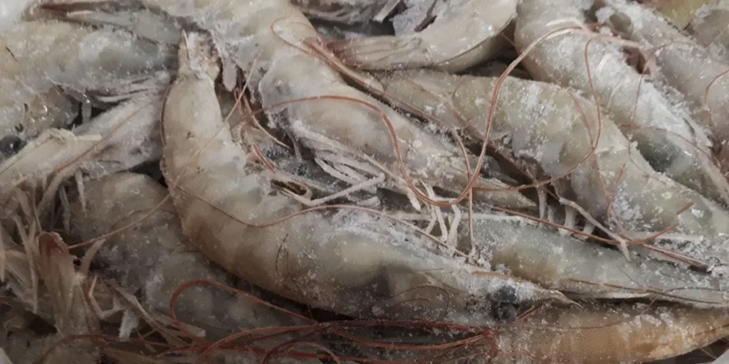 The Frozen Shrimp Market