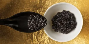 Export Documentation Required for Iranian Caviar