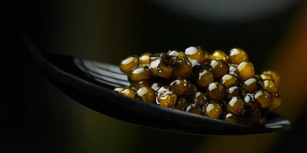 caviar nutrition