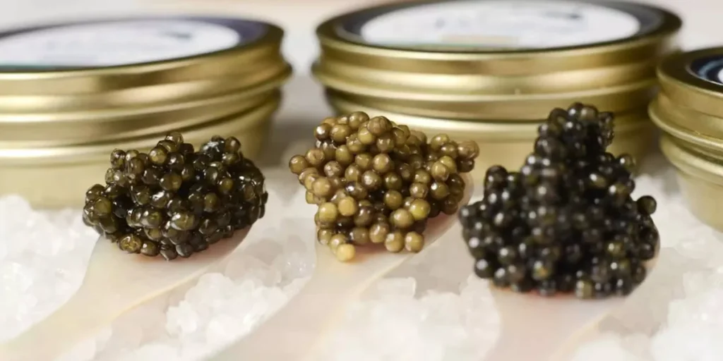 Caviar Grades Explained