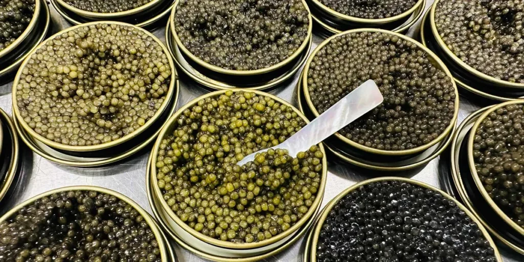 Traceability in Caviar Production