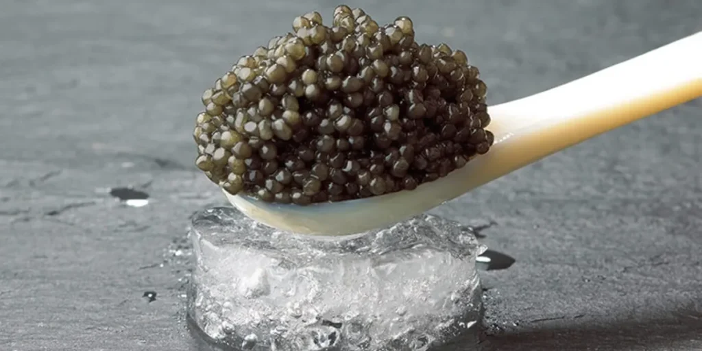 where does caviar come from
