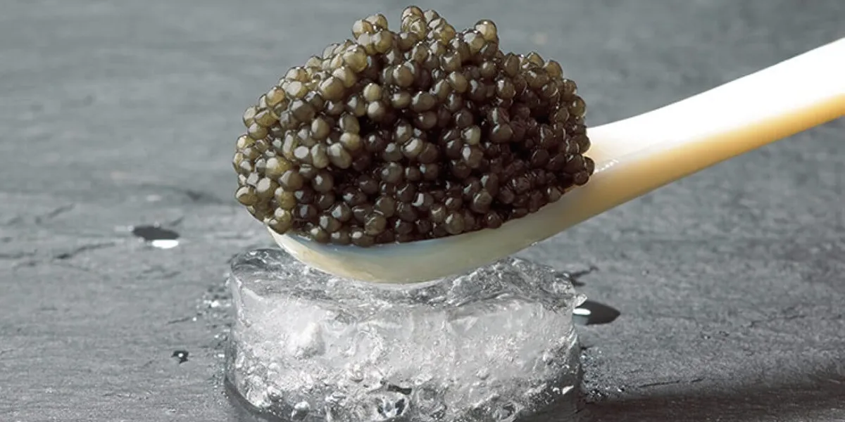 where does caviar come from