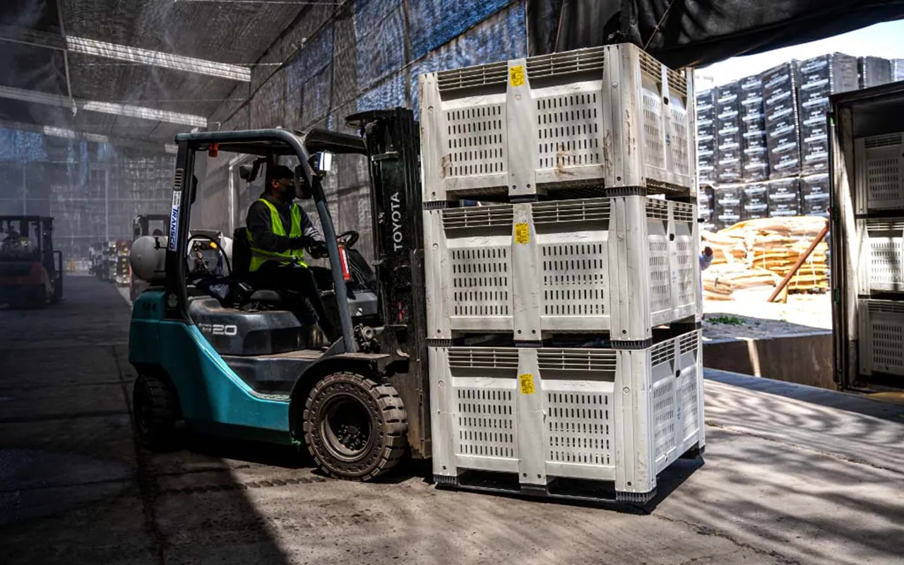 Cold Chain Logistics for Seafood Export