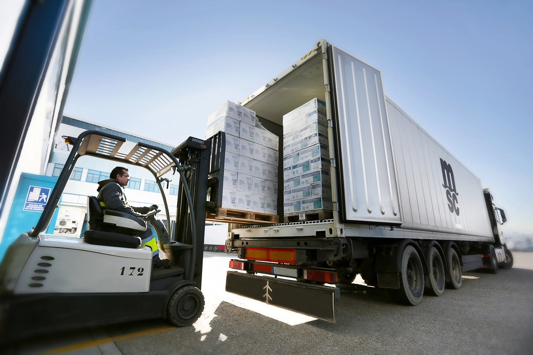 Cold Chain Logistics for Seafood Export