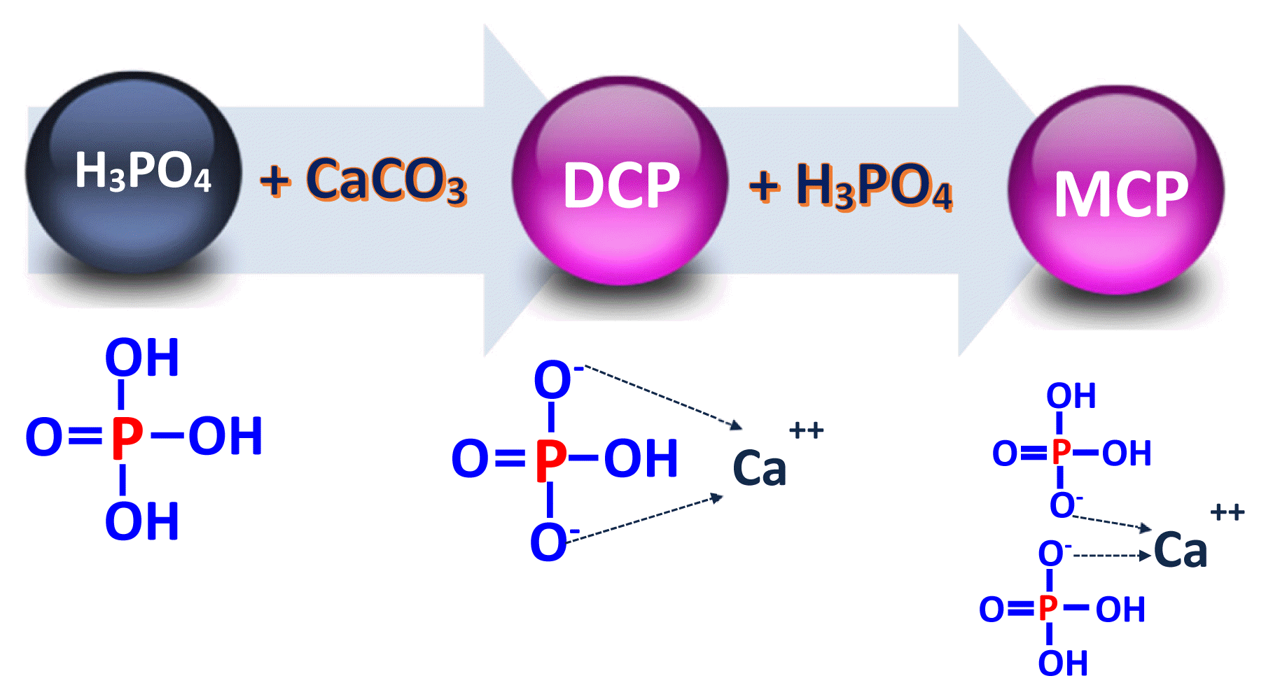 MCP vs DCP