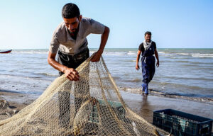 Processed Seafood from Iran