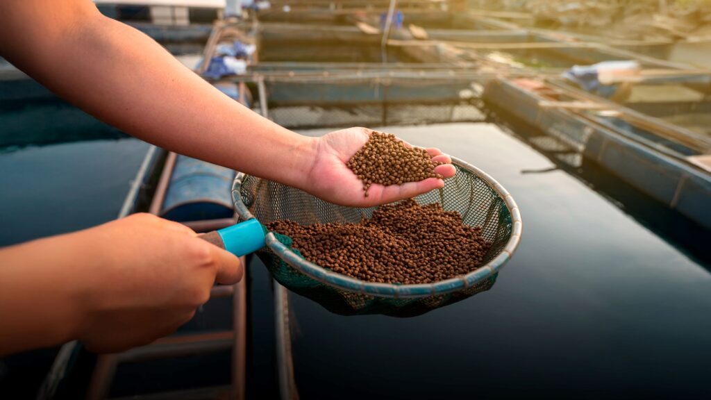 Reliable Supplier for Seafood and Feed Ingredients