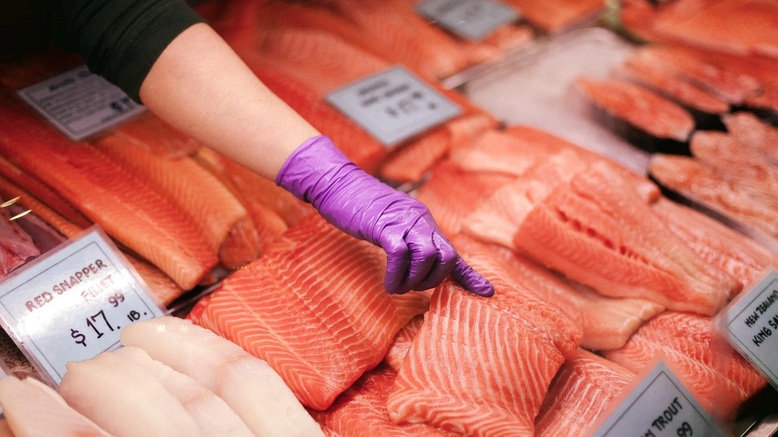 Seafood Export Quality Standards for the European Market