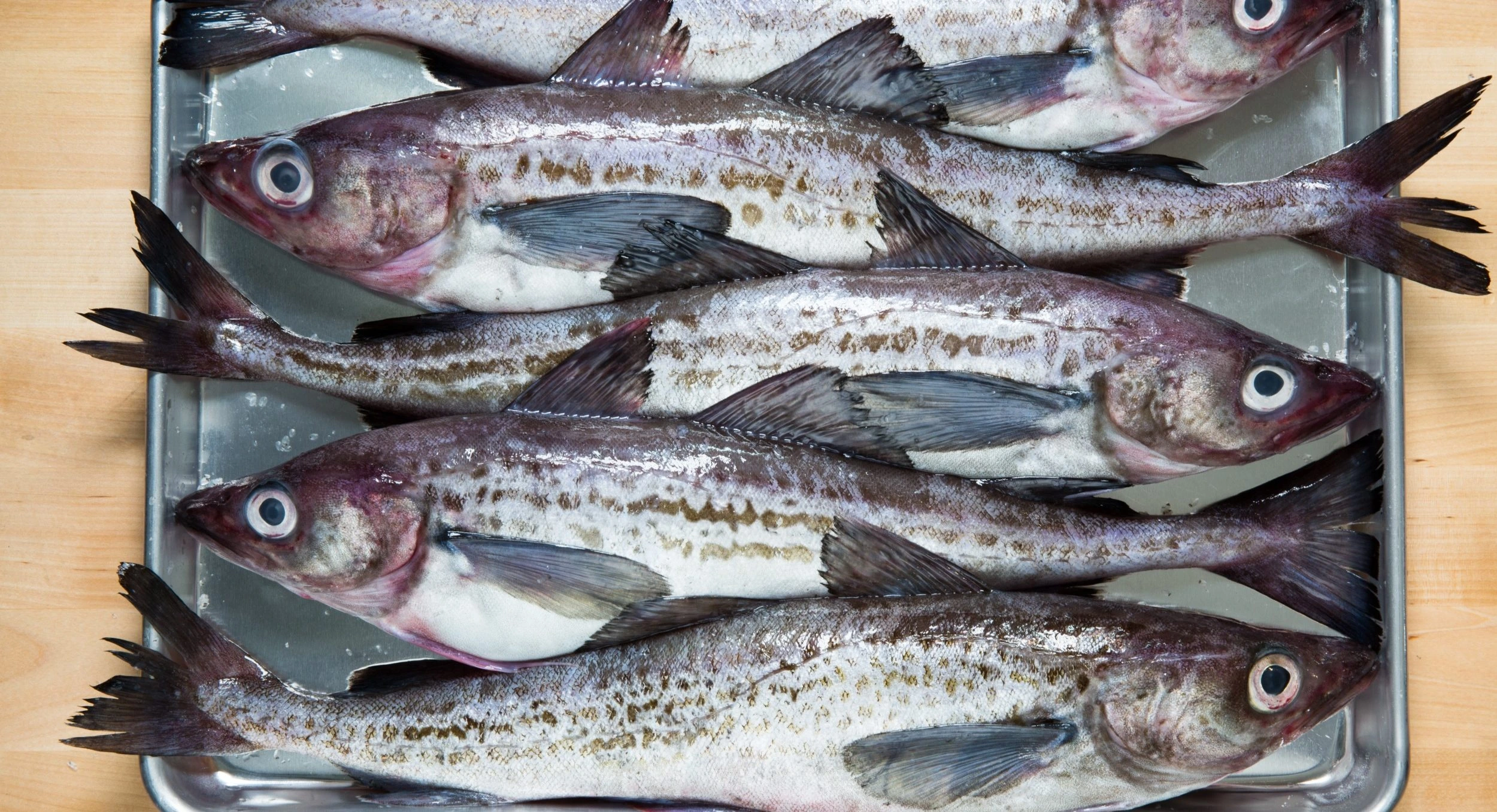 Seafood Export Quality Standards for the European Market