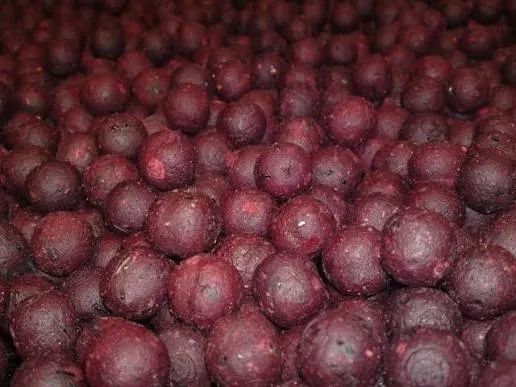 Squid Liver Powder Supply Chain