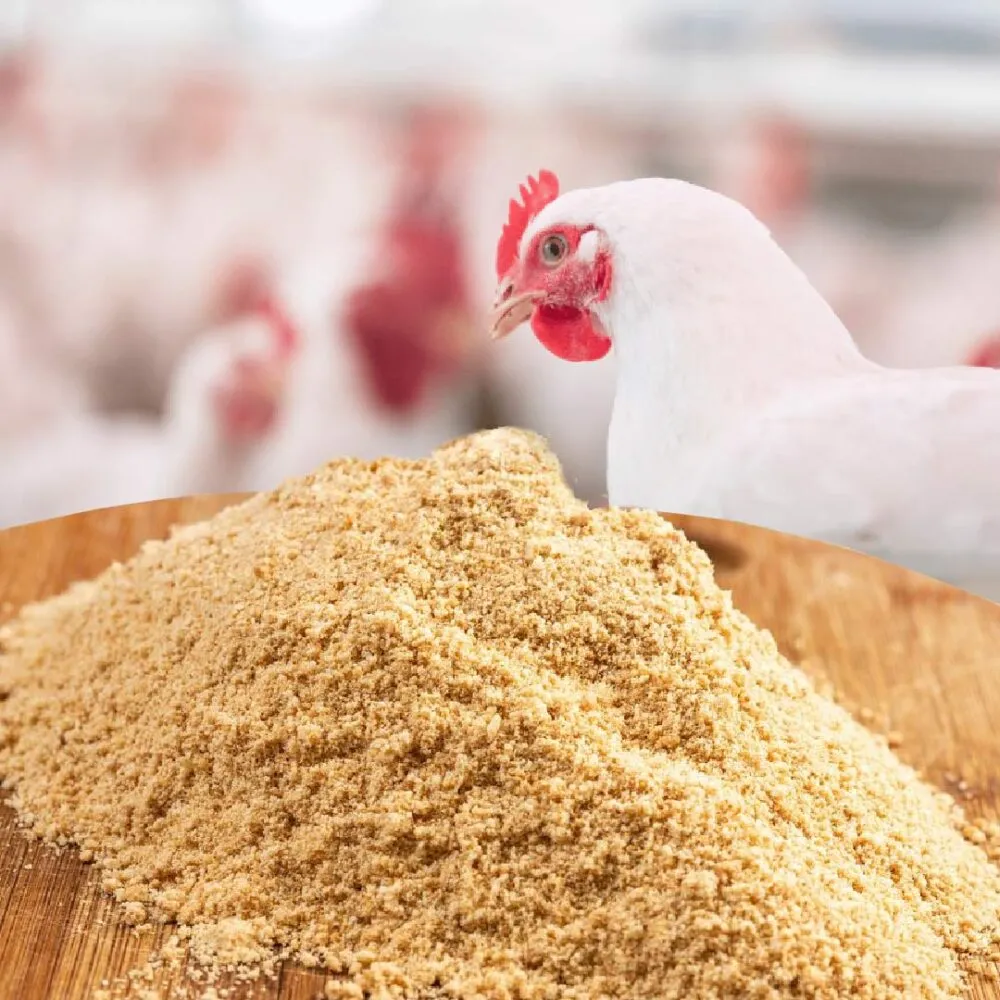 پودر چربی مناسب برای جیره طیور
