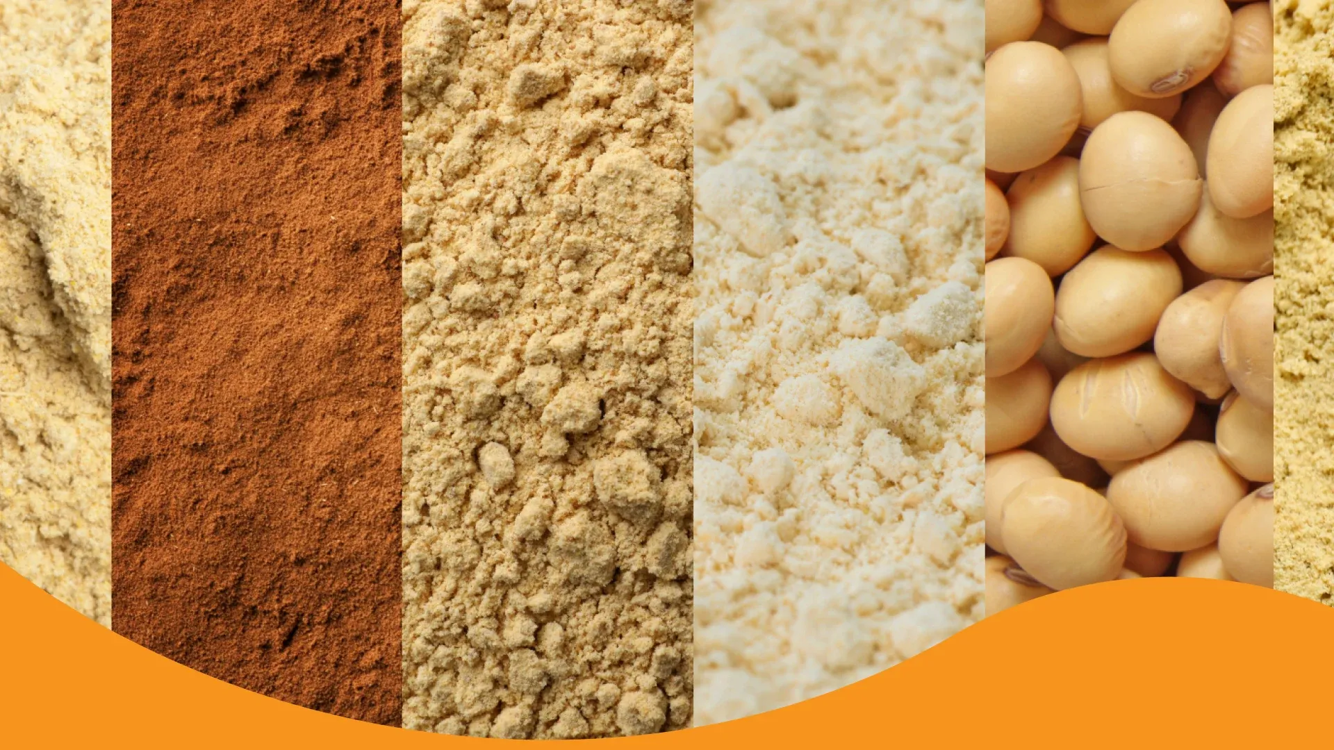 Right Fat Powder for Poultry Diets